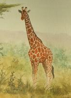 Safari-Kenya giraf, originele aquarel Daniel Njorogo 1988, Antiek en Kunst, Kunst | Schilderijen | Klassiek, Ophalen