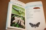 Courante insekten, Boeken, Dieren en Huisdieren, Ophalen of Verzenden, Gelezen, Katten