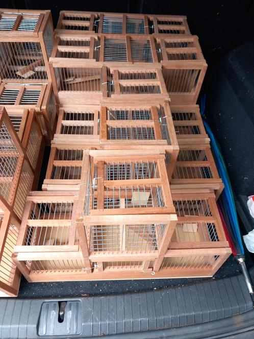 Vangkooien klepkooien zangkooi, Dieren en Toebehoren, Vogels | Hokken en Kooien, Nieuw, Vogelkooi, Hout, Ophalen of Verzenden
