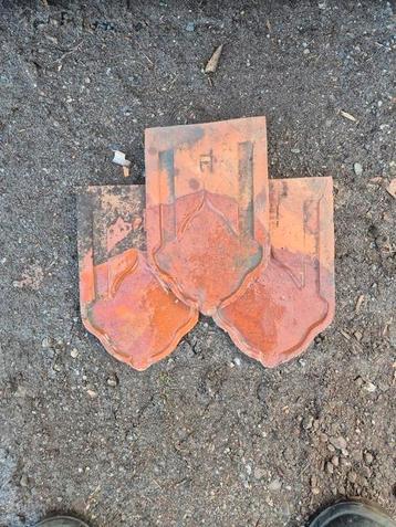 beverstaart dakpannen 16,5 x 26cm beschikbaar voor biedingen