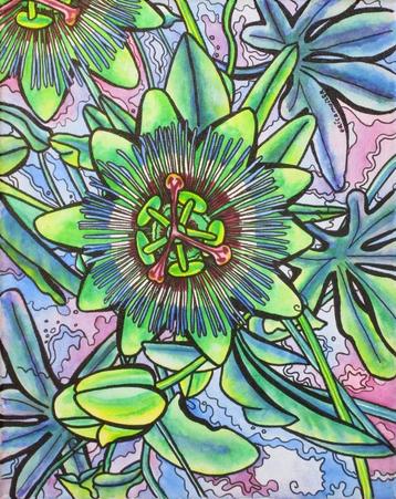 Schilderij van een passiebloem beschikbaar voor biedingen