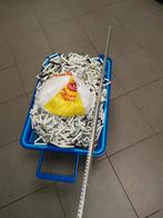 Vliegengordijn stevig compleet zgan zie alle foto's, Huis en Inrichting, Overige Huis en Inrichting, Ophalen of Verzenden, Zo goed als nieuw