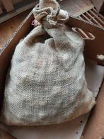 500 Tulpenbollen Assorti Kleur - Bieden!, Tuin en Terras, Bloembollen en Zaden, Ophalen, Volle zon