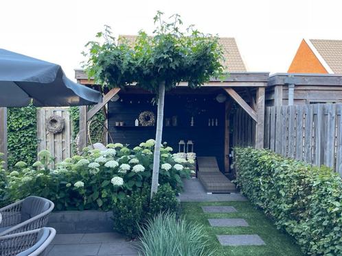 Douglas houten overkapping te koop, Tuin en Terras, Overkappingen, Gebruikt, Veranda, Ophalen