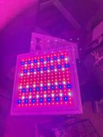 Kweeklamp, Tuin en Terras, Kweekspullen, Ophalen of Verzenden, Zo goed als nieuw