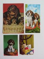 4 vintage Ansichtkaarten honden en poezen, Verzamelen, Ansichtkaarten | Dieren, 1960 tot 1980, Ongelopen, Ophalen of Verzenden