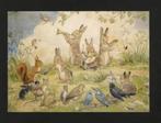 IJsvogel Eekhoorn Hazen Vink Kraai Merel by M. Tarrant., Verzamelen, Ophalen of Verzenden, 1980 tot heden, Ongelopen, Kinderen