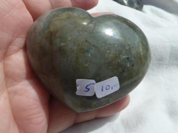 Hart van Labradoriet (05) beschikbaar voor biedingen