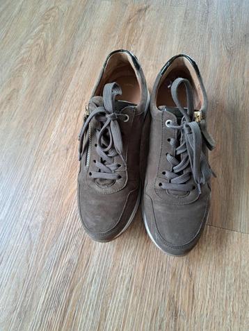 Gabor veterschoen beschikbaar voor biedingen