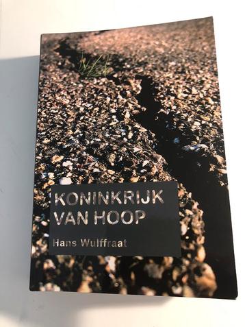 Hans Wulffraat - Koninkrijk van hoop beschikbaar voor biedingen