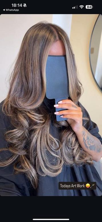Genius weft extensions flat weft highlights balayage blond beschikbaar voor biedingen