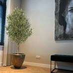 Kunst olijfboom 140 cm - Top Line - NIEUW, Nieuw, Binnen, Ophalen of Verzenden