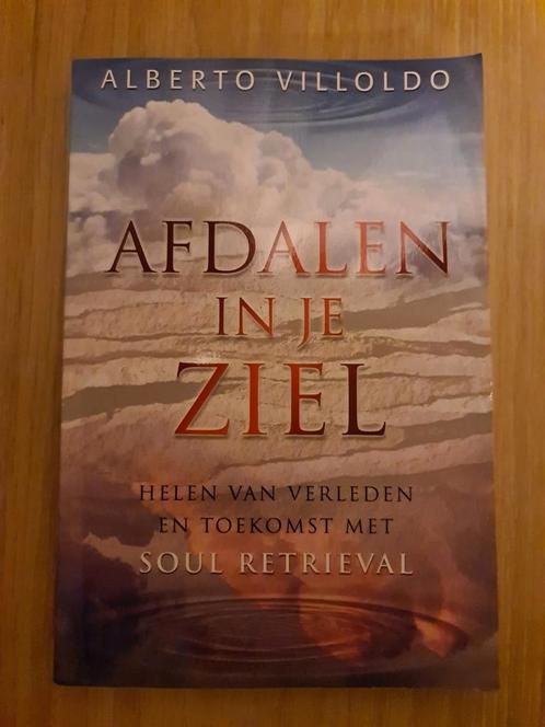 Alberto Villoldo - Afdalen in je ziel, Boeken, Esoterie en Spiritualiteit, Zo goed als nieuw, Ophalen of Verzenden