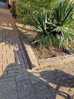 betonnen bielzen 120cm  10 stuks  GRATIS OPHALEN, Tuin en Terras, Bielzen en Borders, Ophalen, Gebruikt, 100 tot 200 cm, Biels