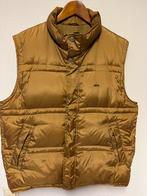 Bodywarmer mcgregor, Ophalen of Verzenden, Zo goed als nieuw, Maat 52/54 (L), McGregor