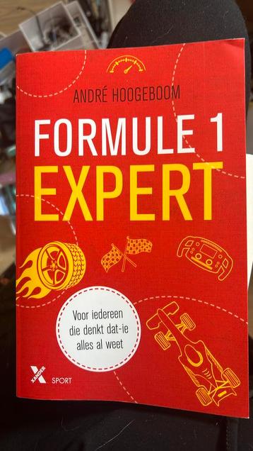 André Hoogeboom - Formule 1 beschikbaar voor biedingen