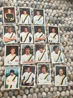 Vitesse panini vanderhout 1971-1972, Ophalen of Verzenden, Gebruikt, Vitesse, Poster, Plaatje of Sticker