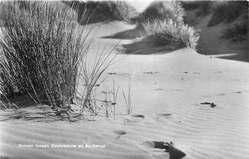 (301-187-013) Oostvoorne Duinen beschikbaar voor biedingen