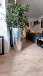 2 Ronde Plantenbakken met Nepplant, Huis en Inrichting, Ophalen, Halfschaduw, Minder dan 100 cm