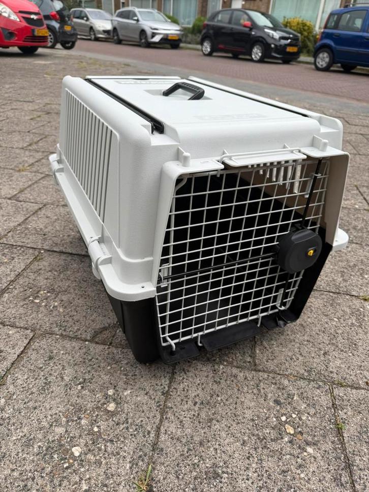 Ferplast Atlas 40, Dieren en Toebehoren, Transportboxen, Zo goed als nieuw, Ophalen