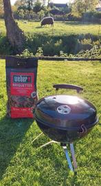 Houtskoolbarbeque, Ophalen of Verzenden, Gebruikt