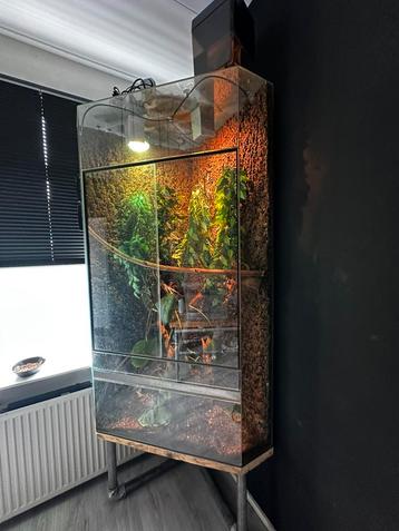 Groot hoek terrarium beschikbaar voor biedingen