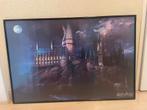 Poster harry potter in lijst, Verzamelen, Posters, Ophalen, Zo goed als nieuw, A1 t/m A3, Film en Tv