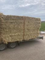 Gras hooi weidehooi paardenhooi voordroog kuil balen baal, Dieren en Toebehoren, Dierenvoeding, Vee, Ophalen of Verzenden