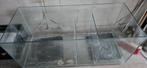 Sump/Bioloog gebouwd door Zorona 120x50x50xm verdeeld in 3 k, Ophalen, Gebruikt, Overige typen