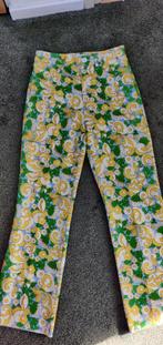 helder gekleurde pantalon Zara maat 34, Ophalen of Verzenden, Gedragen, Maat 34 (XS) of kleiner, Lang