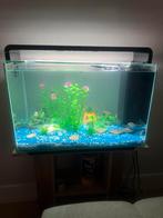 Aquarium met meubel ( superfish home 65 L ), Ophalen, Zo goed als nieuw, Gevuld zoetwateraquarium