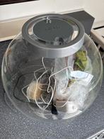 Aqarium biorb met verlichting (kleur) pomp en toebehoren, Dieren en Toebehoren, Vissen | Aquaria en Toebehoren, Ophalen of Verzenden
