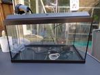 Juwel aquarium 50 liter met externe pomp/filter en extra's, Ophalen of Verzenden, Zo goed als nieuw, Leeg aquarium