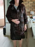 mantel ( paardenhaar), Kleding | Dames, Overige Dameskleding, Ophalen, Gedragen