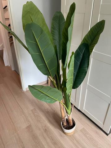 Kunst bananenplant beschikbaar voor biedingen