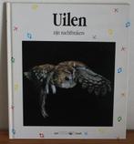 Uilen, Dieren en Toebehoren, Vogels | Overige Vogels, Meerdere dieren, Roofvogel