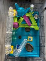 Huis voor hamster, Oktober, Mannelijk