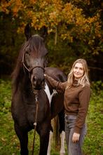 Stalling gezocht Heemskerk/Castricum/Uitgeest e.o, Dieren en Toebehoren, Stalling en Weidegang, Stalling