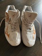 Mizunu zaalschoenen, Ophalen, Gebruikt, Schoenen