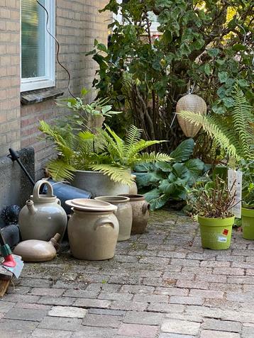 Franse weck - gres potten ruim 10 stuks 150€ beschikbaar voor biedingen