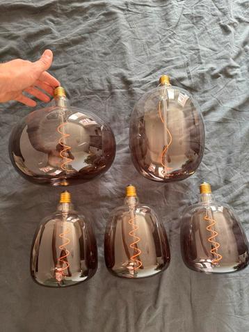 Calex XXL lampen, bruin glas beschikbaar voor biedingen