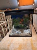Aquariums, Ophalen, Gebruikt, Overige typen
