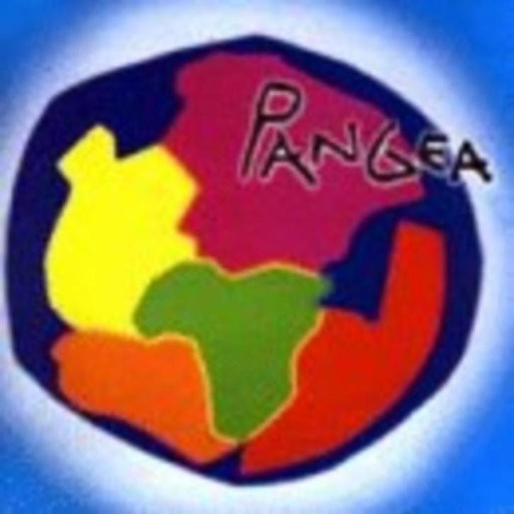 cd van Pangea - Pangea, Cd's en Dvd's, Cd's | Wereldmuziek, Zo goed als nieuw, Aziatisch, Verzenden