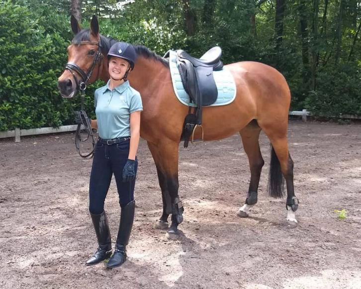 Te koop mooie 13 jarige merrie, Dieren en Toebehoren, Paarden, Merrie, M, 160 tot 165 cm, 11 jaar of ouder, Recreatiepaard, Met stamboom