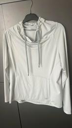 Arcteryx hoody maat L kleur lichtgroen/-blauw W, Kleding | Dames, Sportkleding, Arcteryx, Ophalen of Verzenden, Zo goed als nieuw