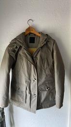 Airforce jas maat xs 16y, Kleding | Dames, Jassen | Winter, Ophalen of Verzenden, Zo goed als nieuw, Maat 34 (XS) of kleiner