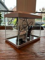 Aquariumbak, Dieren en Toebehoren, Vissen | Aquaria en Toebehoren, Ophalen, Nieuw, Leeg aquarium