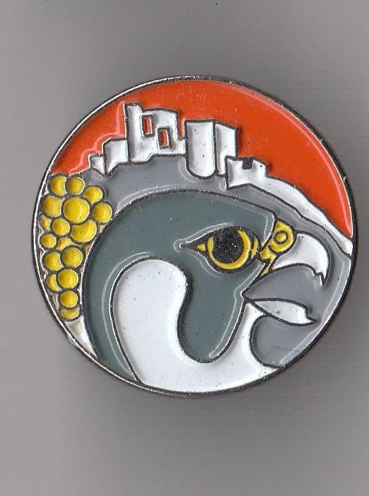 Valkenburg pin Vogel Valk, Verzamelen, Speldjes, Pins en Buttons, Gebruikt, Speldje of Pin, Overige onderwerpen, Ophalen of Verzenden