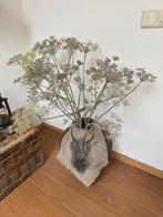 Bereklauw, Huis en Inrichting, Woonaccessoires | Droogbloemen, Ophalen of Verzenden