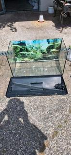 2 aquariums te koop incl. Alle benodigdheden, Ophalen, Zo goed als nieuw, Leeg aquarium